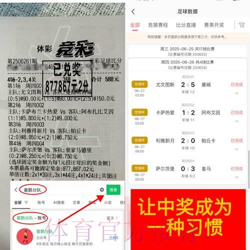 世界杯博彩平台的市场竞争格局与创新发展策略研究 世界杯博彩平台的市场竞争格局与创新发展策略研究